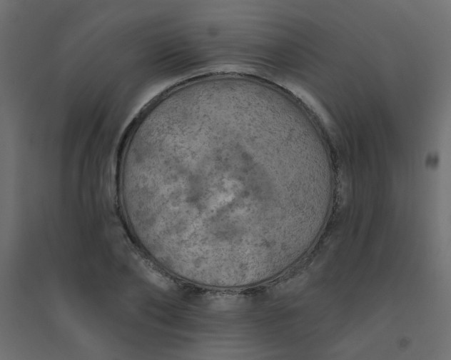 X0000094460886200711211538