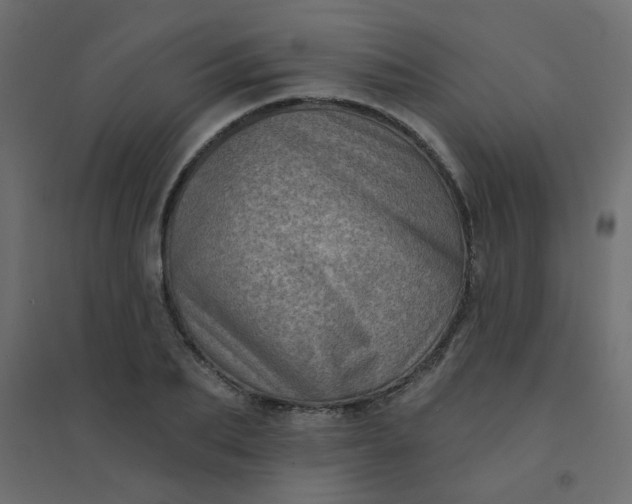 X0000094460887200711211538