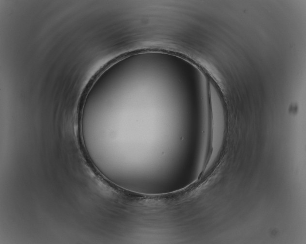 X0000094460888200711211538