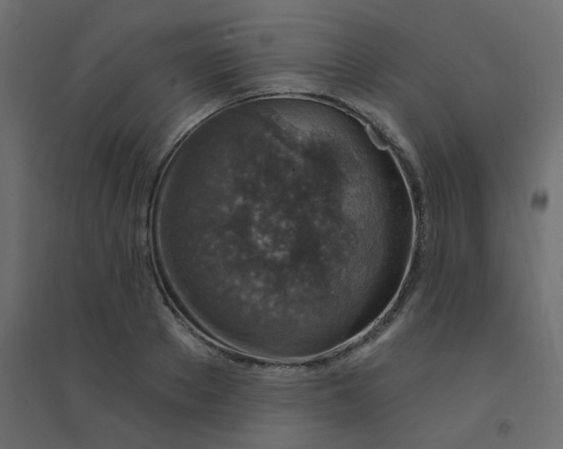 X0000094460889200711211538