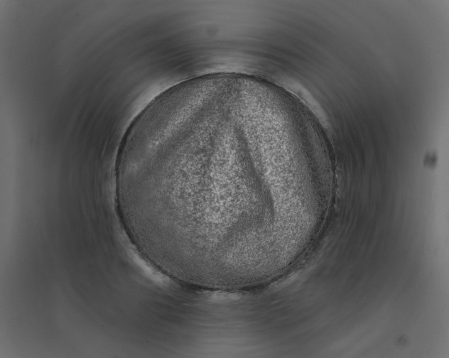 X0000094460890200711211538