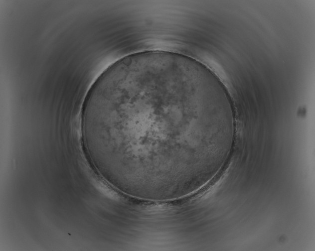 X0000094460891200711211538