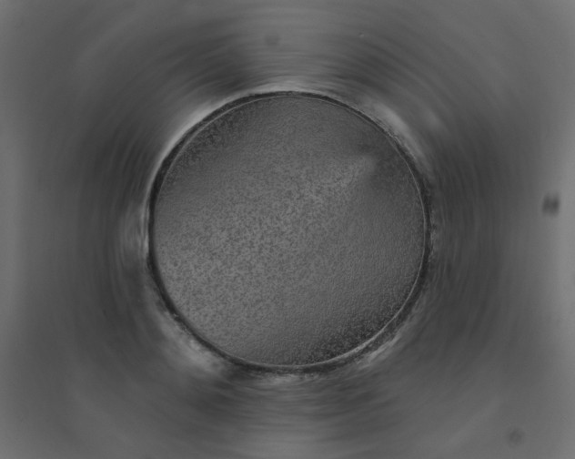 X0000094460892200711211538