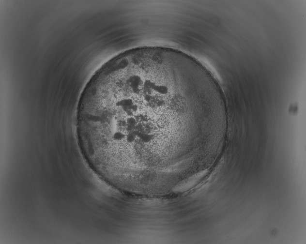 X0000094460895200711211538