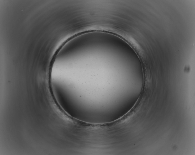 X0000094460896200711211538