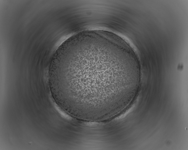 X0000094460897200711211538