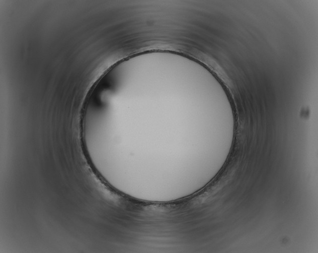 X0000094460898200711211538