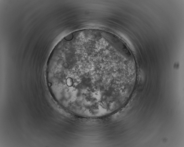 X0000094460899200711211538