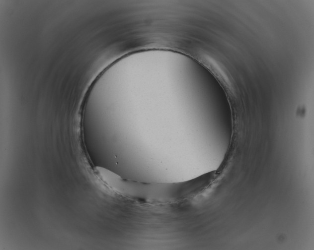 X0000094460900200711211538