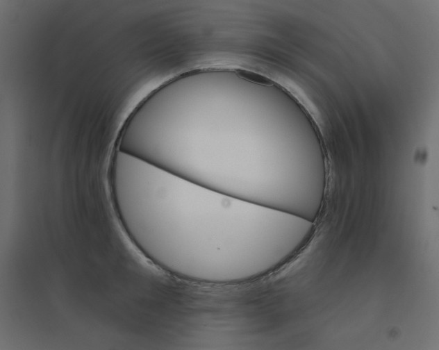 X0000094460901200711211538