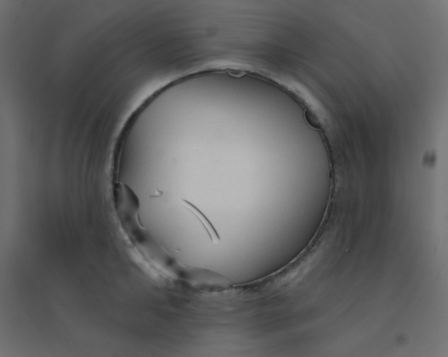 X0000094460902200711211538