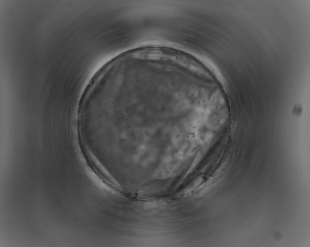 X0000094460903200711211538