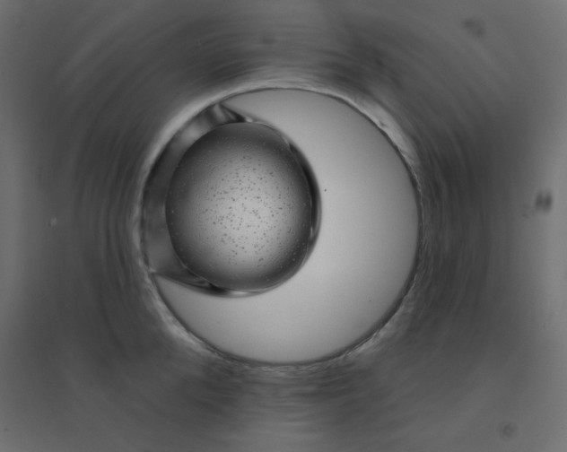 X0000094460904200711211538