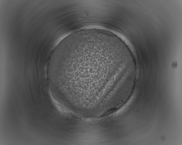 X0000094460905200711211538