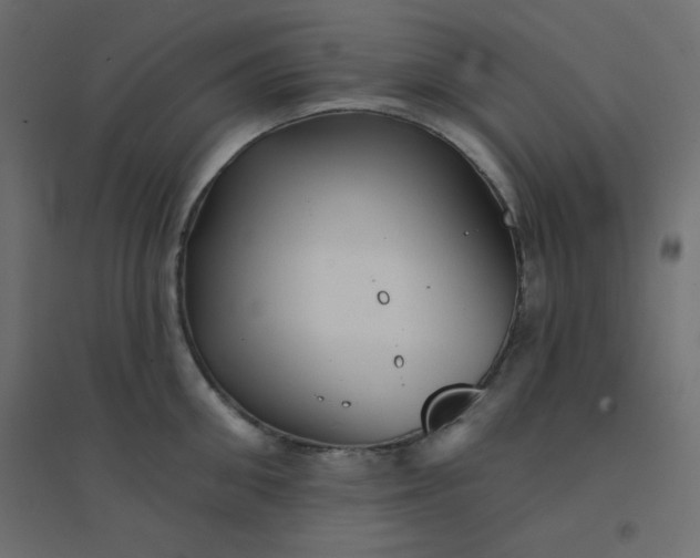 X0000094460906200711211538