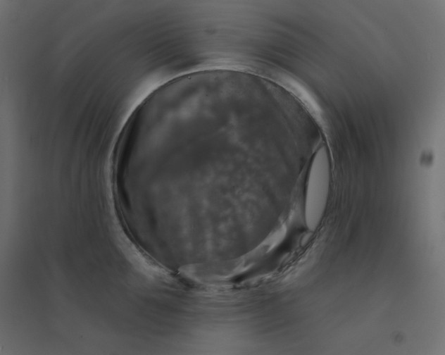 X0000094460907200711211538