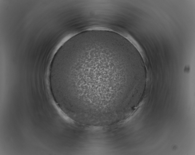 X0000094460909200711211538