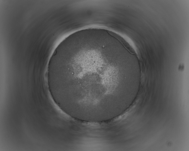 X0000094460911200711211538