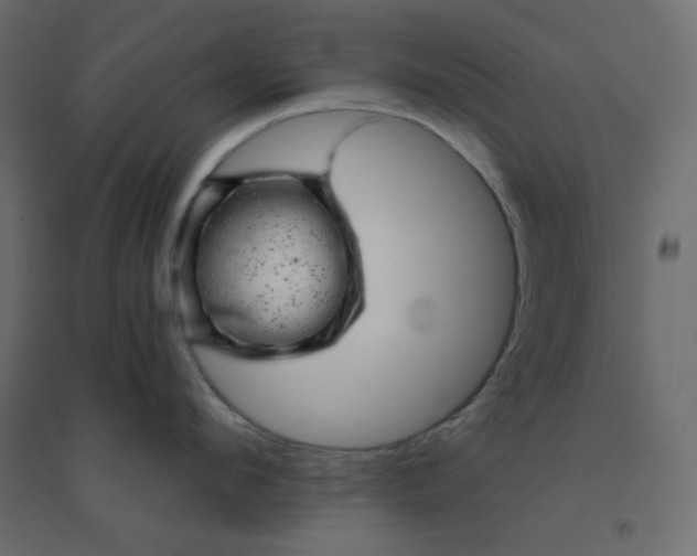 X0000094460912200711211538