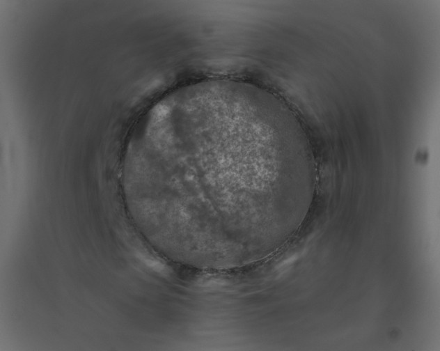 X0000094460913200711211537