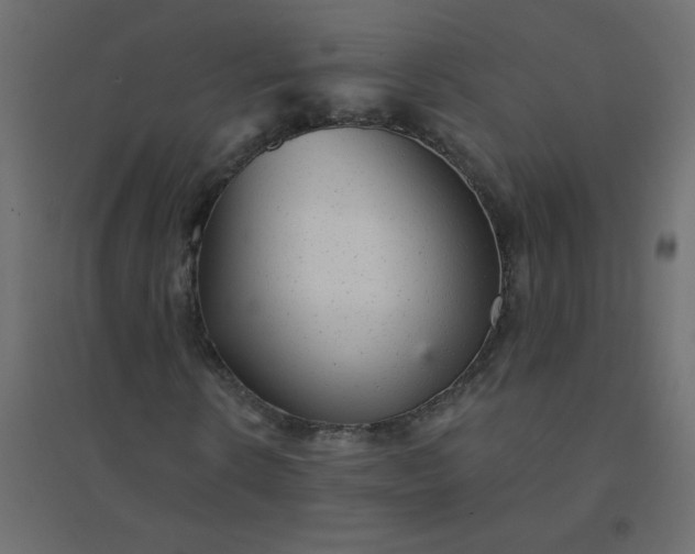 X0000094460914200711211537