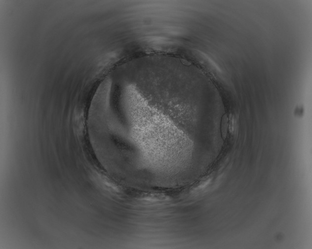 X0000094460915200711211537