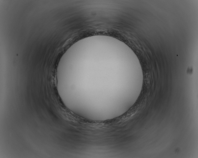X0000094460916200711211537