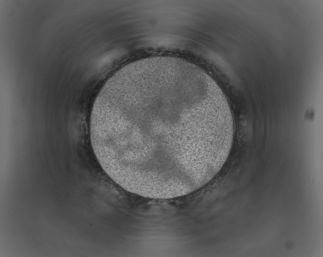 X0000094460918200711211537