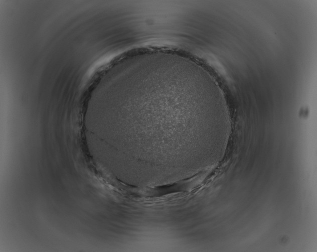 X0000094460920200711211537