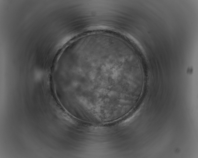 X0000094460921200711211537