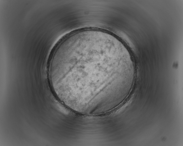 X0000094460924200711211537