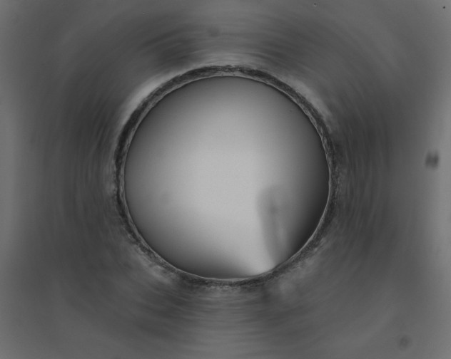 X0000094460927200711211537