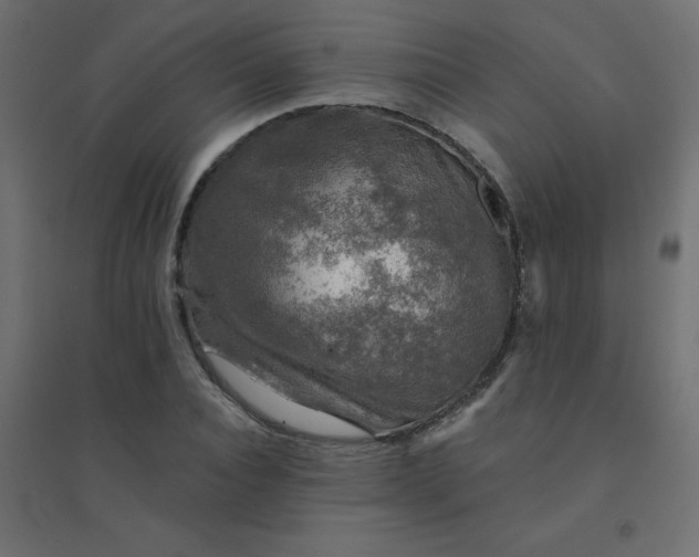 X0000094460928200711211537
