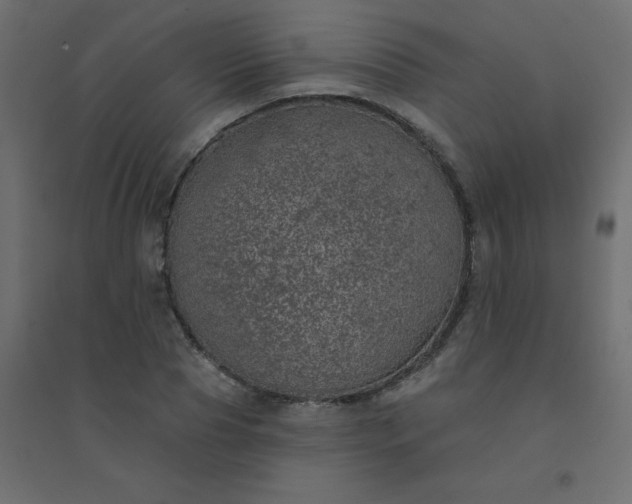X0000094460929200711211537