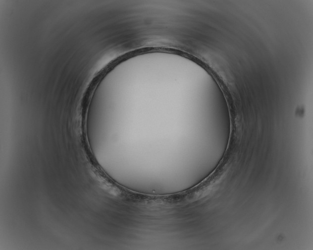 X0000094460931200711211537