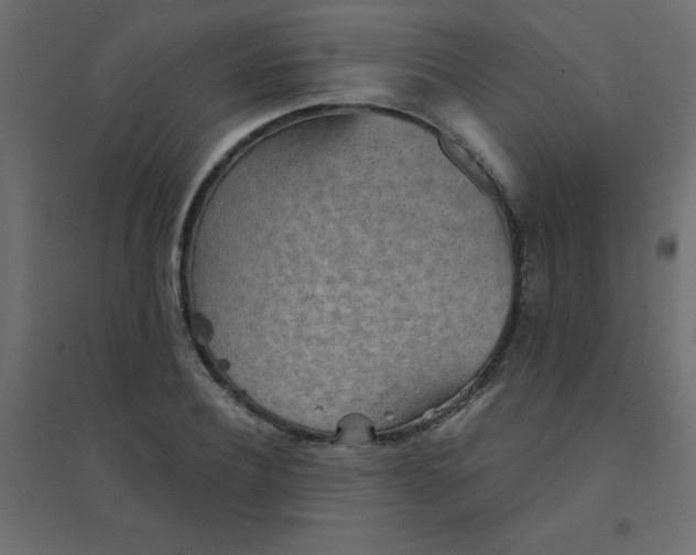 X0000094460932200711211537