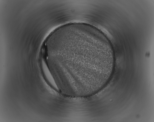 X0000094460934200711211537