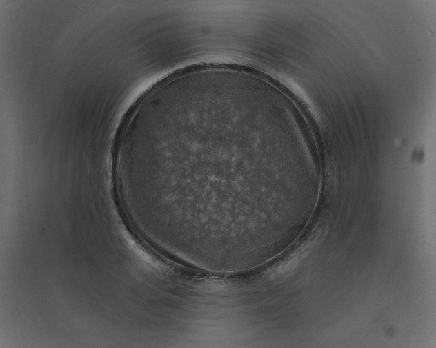 X0000094460935200711211537