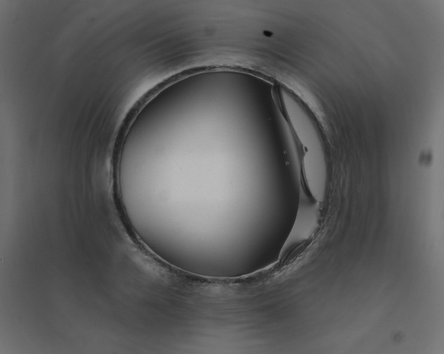 X0000094460936200711211537