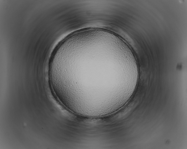 X0000094460939200711211537