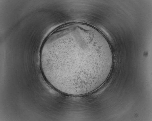 X0000094460940200711211537