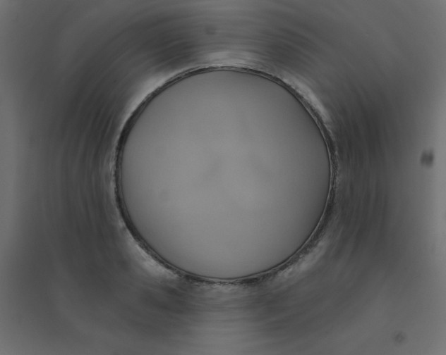 X0000094460941200711211537