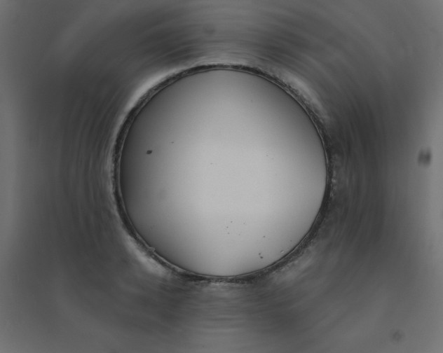 X0000094460942200711211538