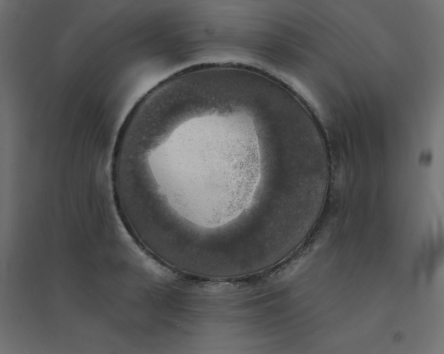 X0000094460943200711211538