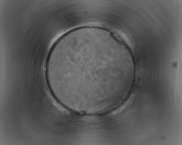 X0000094460944200711211538