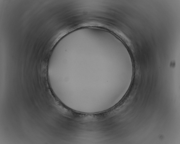 X0000094460945200711211538