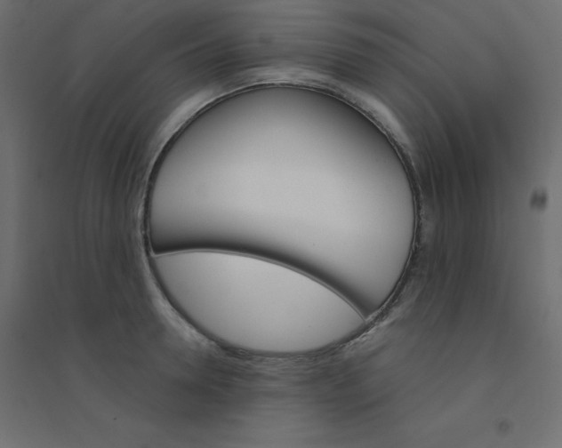 X0000094460946200711211538