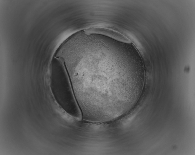 X0000094460948200711211538