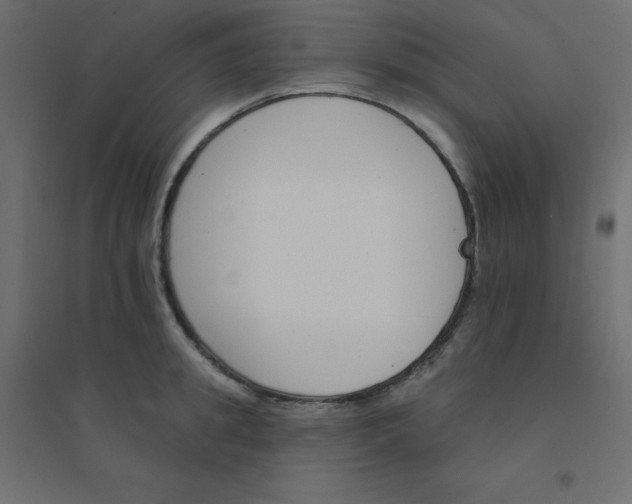 X0000094460949200711211538