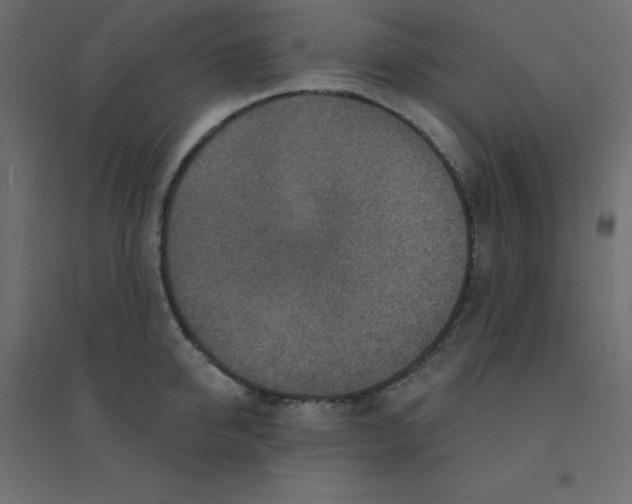 X0000094460950200711211538